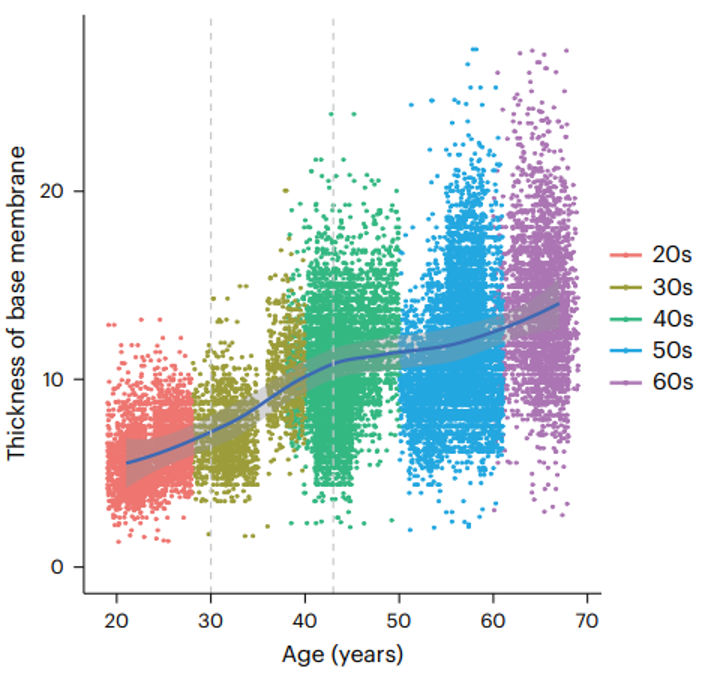 男性睾丸基底膜随年龄不断增厚，并在30岁和50岁出现两个明显的拐点
