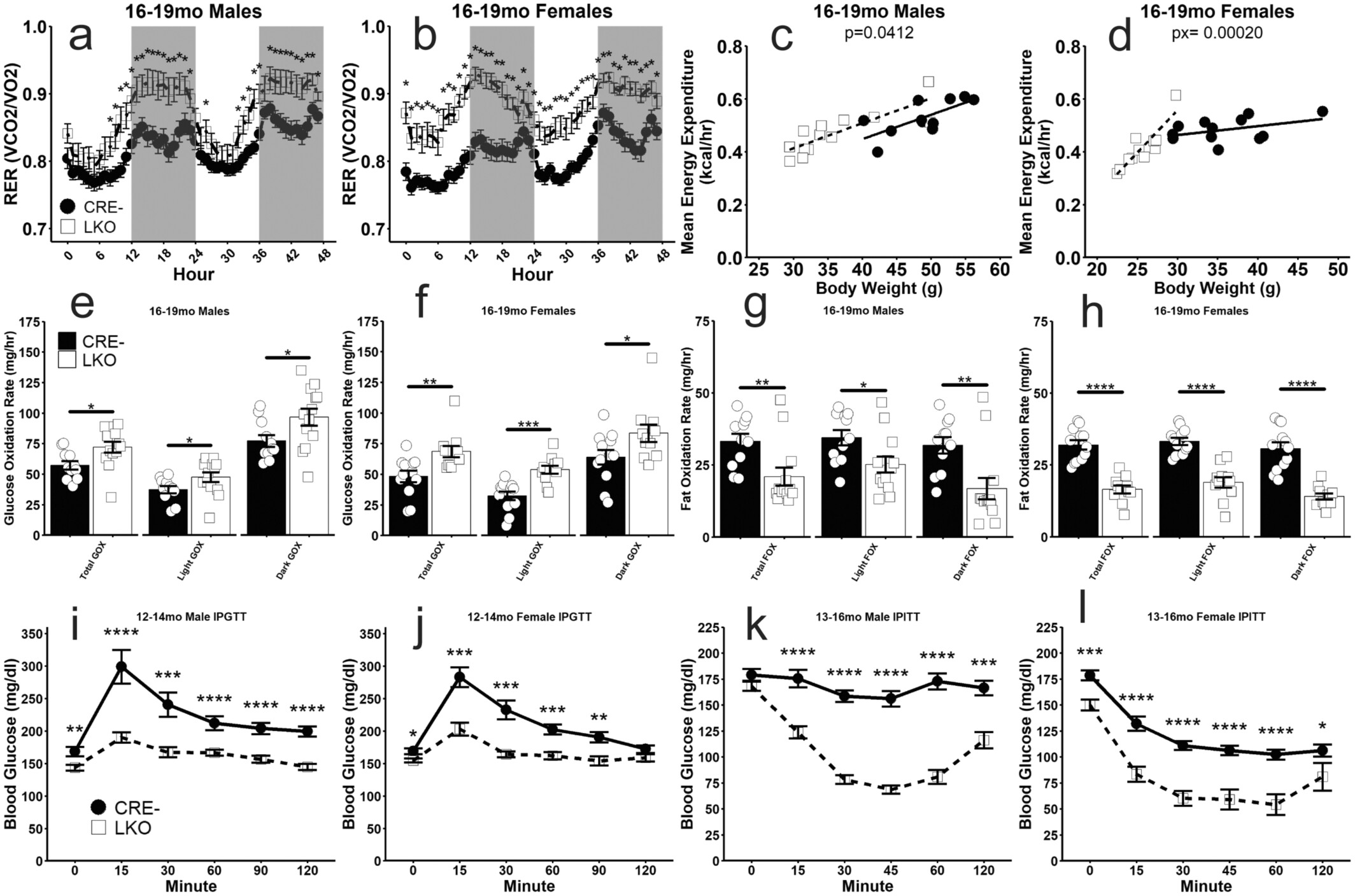 肝脏GCGR缺失会提高葡萄糖利用率和胰岛素敏感性。