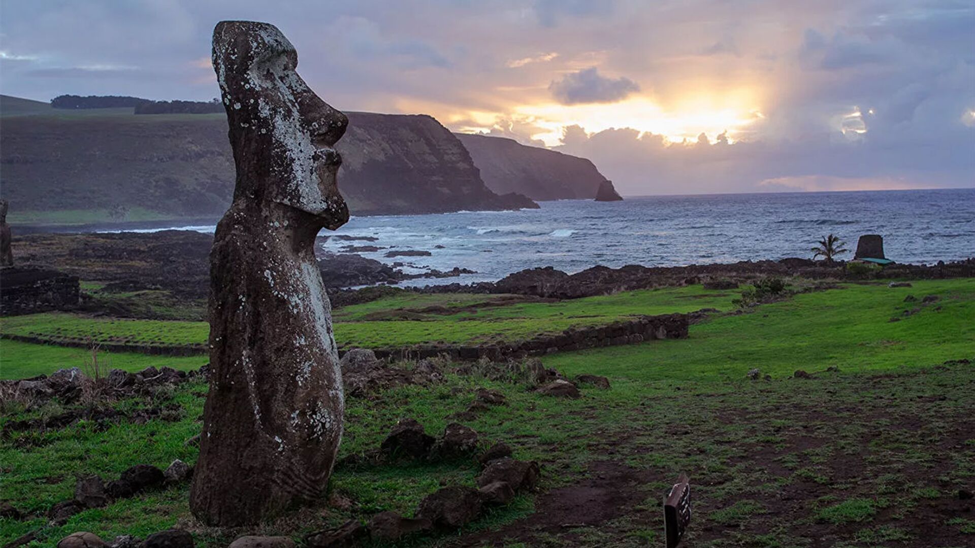 复活节岛。图片来自媒体。