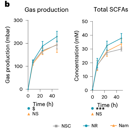 NR显著增加了短链脂肪酸（SCFA）的产量