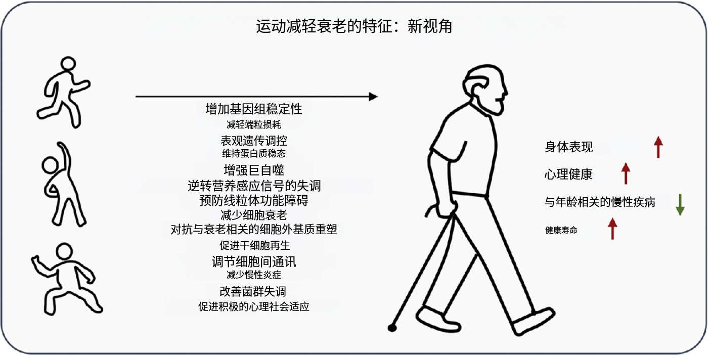 图片来自参考资料[3]+自己翻译。
