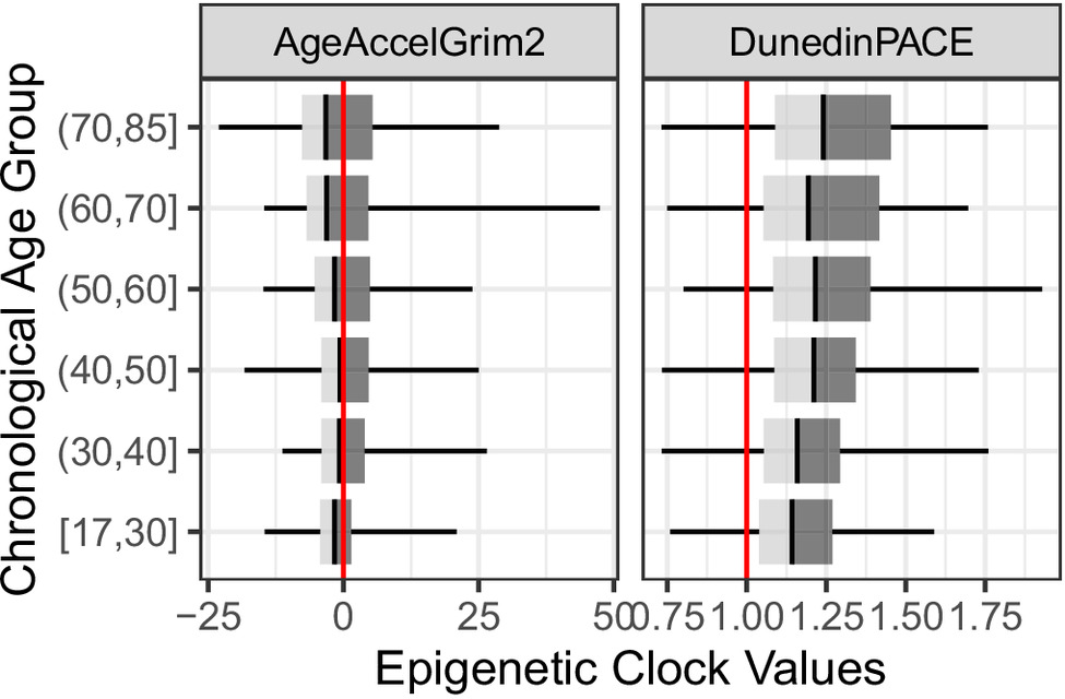 两个表观遗传时钟在所有年龄组中均表现出显著差异。图：参考资料[1]。
