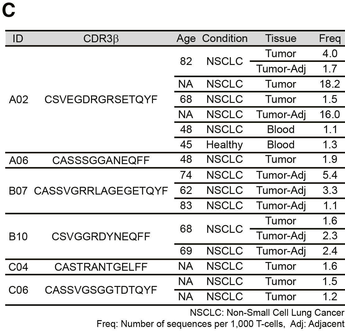 超级百岁老人体内CD4 CTLs克隆可能与肿瘤抗原相关，尤其肺癌、乳腺癌、肝癌。via：参考资料[2]。