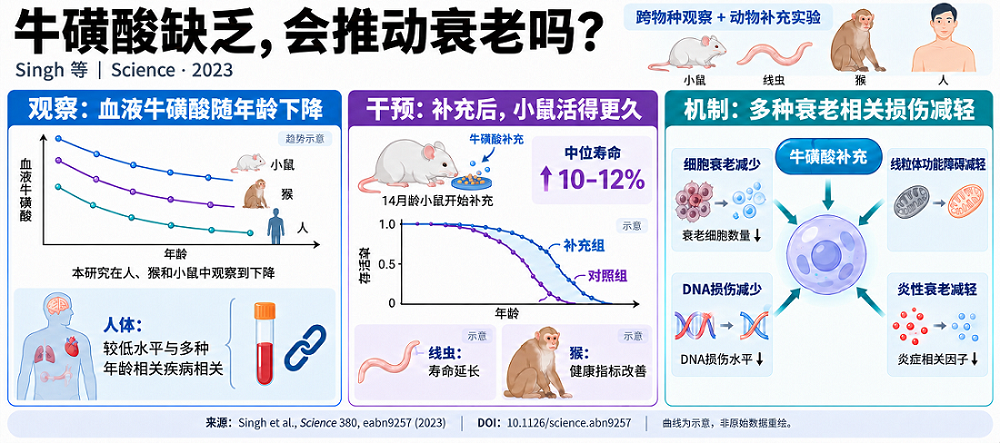 2023年的研究概述(AI制图)