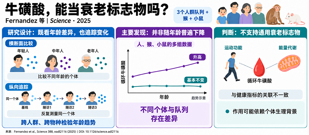 2025年的研究概述(AI制图)